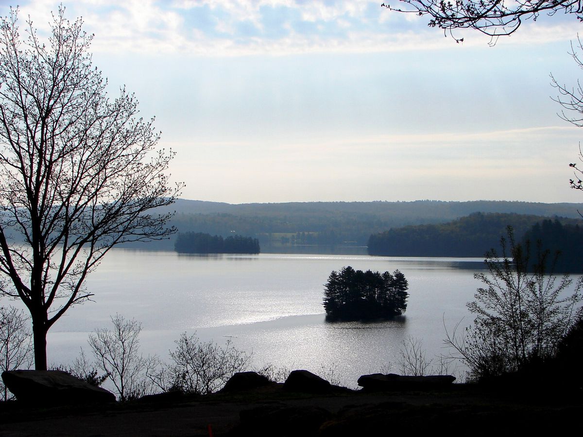 Fairy Lake in Huntsville, Ontario, seen from a hillside with small wooded islands on the water.