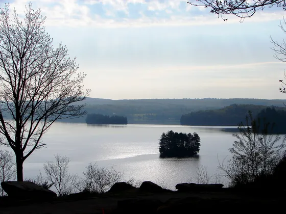 Fairy Lake in Huntsville, Ontario, seen from a hillside with small wooded islands on the water.