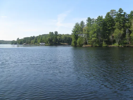 The view from a dock out over the Muskoka River, with forested shores.